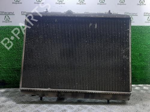 Køler PEUGEOT 207 (WA_, WC_) [2006-2015]  24849678