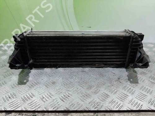 Used Intercooler FORD TRANSIT CONNECT (P65_, P70_, P80_) 1.8 Di (75 hp) 6809728