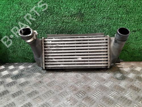 Intercooler Intercooler FORD FIESTA VI (CB1, CCN) [2008-2026] 36857541 36857541