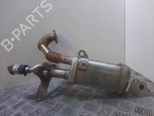 Egr für Egr RENAULT KANGOO / GRAND KANGOO II (KW0/1_) 1.5 dCi 110 (KW0C, KW0H) (110 hp) 34102765 34102765