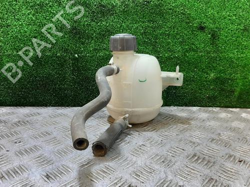 Ekpansionstank DACIA SANDERO | BP26664307C120