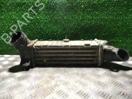 Used Intercooler SEAT IBIZA II (6K1) 1.9 TDI (110 hp) 22626662