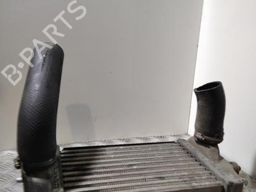 Ladeluftkühler für CHRYSLER VOYAGER IV (RG, RS) [1999-2008]  30172949