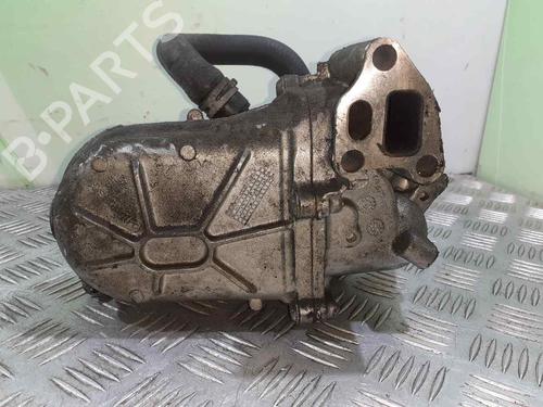 Egr FIAT DOBLO Cargo (263_) 1.3 D Multijet | BP9203047M69