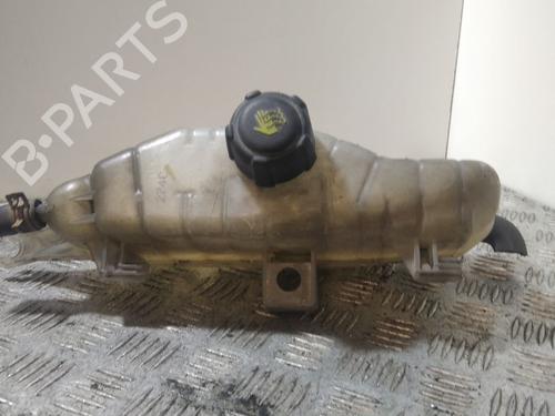 Ekspansjonstank RENAULT CLIO III (BR0/1, CR0/1) [2005-2014]  29594951