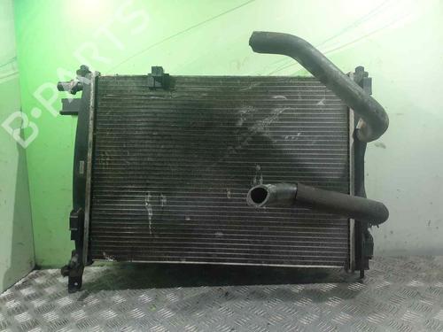 Køler NISSAN QASHQAI I (J10, NJ10) [2006-2015]  11225759