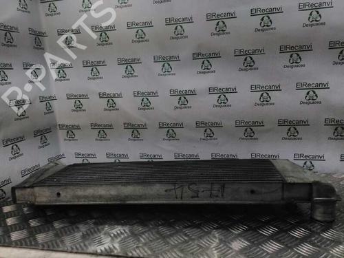 Intercooler RENAULT MEGANE II (BM0/1_, CM0/1_) [2001-2012]  4616530