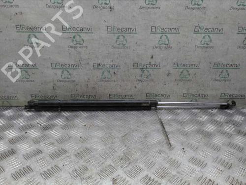 Used Tailgate lift support PEUGEOT PARTNER MPV (5_, G_) 2.0 HDI (90 hp) 14356009