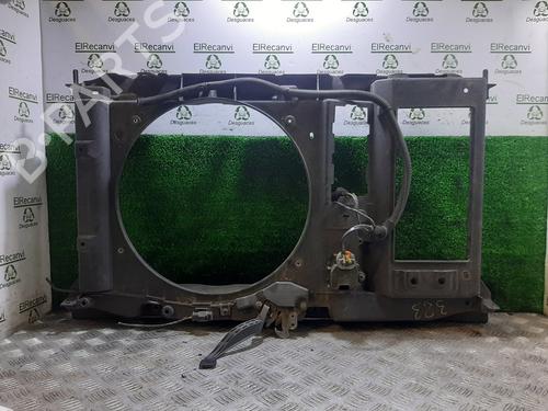 Frontplade/Frontkurv CITROËN C4 II (NC_) [2009-2025]  28492481