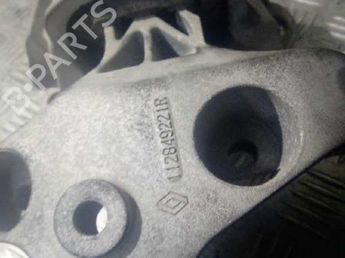 Engine mount DACIA SANDERO | BP10197698M89