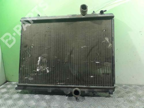 Used Water radiator Water radiator PEUGEOT 206 Hatchback (2A/C) [1998-2012] 10910038 10910038