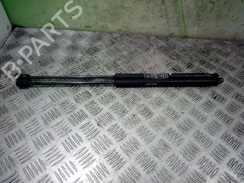 Used Tailgate lift support FIAT BRAVO II (198_) 1.9 D Multijet (198AXC1B) (150 hp) 14356817