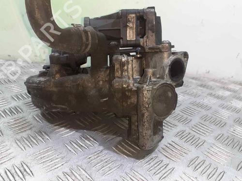 Egr FIAT DOBLO Cargo (263_) 1.3 D Multijet | BP9203047M69