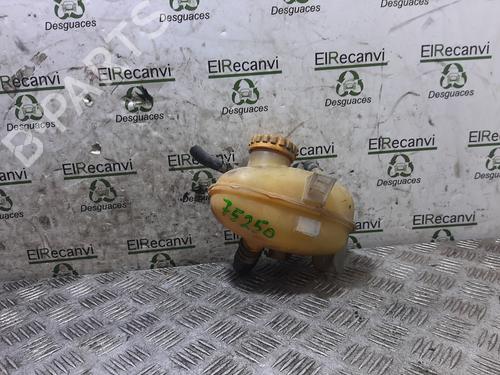 Used Expansion tank OPEL TIGRA TwinTop (X04) 1.4 (R97) (90 hp) 17496321