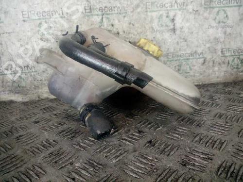 Expansion tank FORD TRANSIT CONNECT (P65_, P70_, P80_) | BP10753180C120