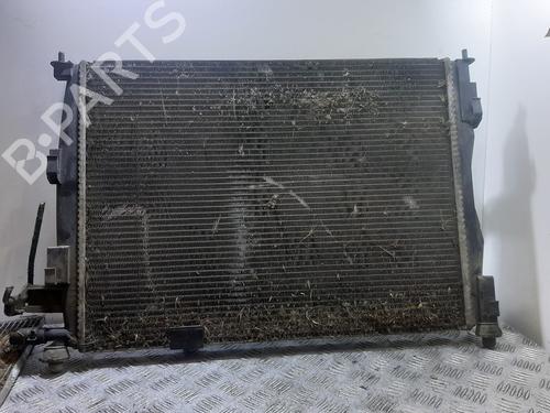 Used Water radiator NISSAN QASHQAI I (J10, NJ10) [2006-2015]  30352200