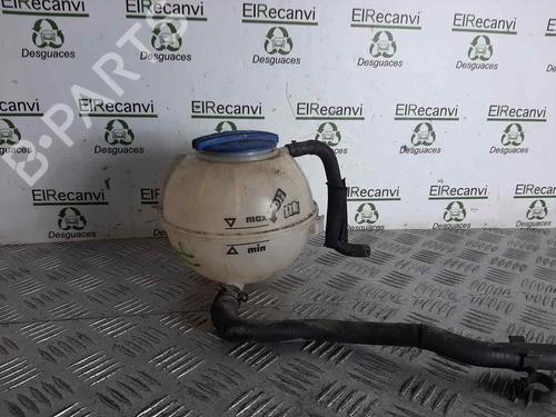 Used Expansion tank SEAT IBIZA IV (6J5, 6P1) [2008-2017]  15888486