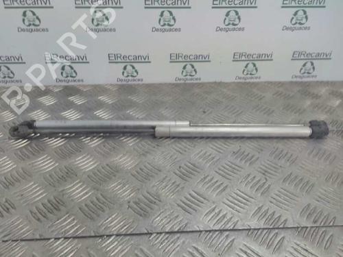 Used Tailgate lift support AUDI A2 (8Z0) 1.4 TDI (75 hp) 14357656