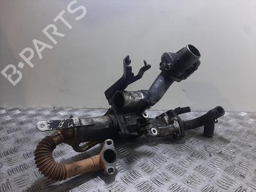 Egr RENAULT KANGOO Express (FW0/1_) | BP31598875M69