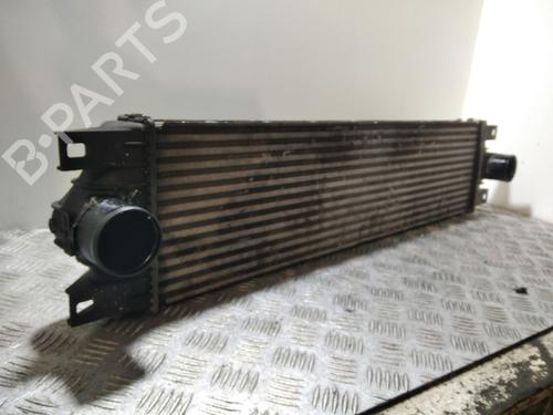 Intercooler RENAULT MASTER II Van (FD) 2.5 dCi 100 (FD0U, FD0V, FD3U, FD3V, FD8U, FD8V) (99 hp) 30000392