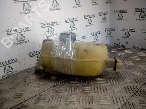 Ekspansjonstank RENAULT TRAFIC II Van (FL) [2001-2026]  4547719