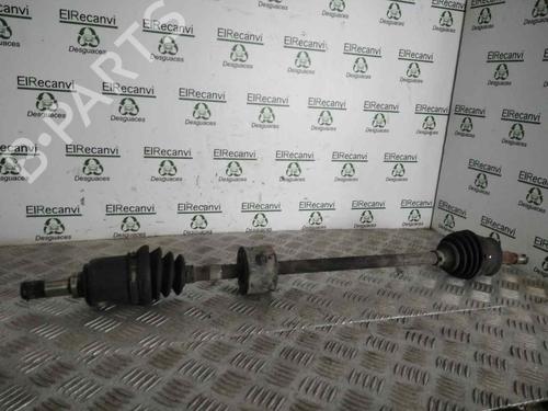 Used Right front driveshaft FIAT PANDA (169_) 1.2 (169.AXB11, 169.AXB1A) (60 hp) 15260854