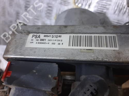 Steering pump PEUGEOT 307 Break (3E) 1.6 HDi 110 | BP30172971M99 - Image 2