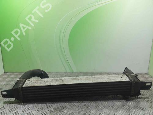 Intercooler CITROËN NEMO Box Body/MPV (AA_) | BP7242084M30