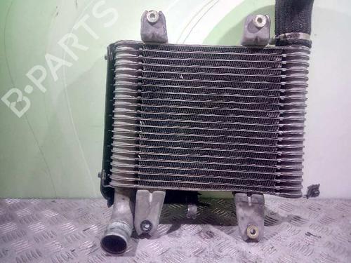 Used Intercooler KIA CARNIVAL I (UP, FL) [1998-2001]  7525674