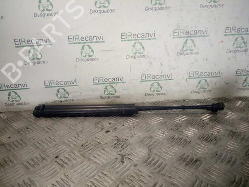 Used Tailgate lift support RENAULT CLIO IV (BH_) [2012-2021]  14357761