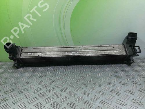 Used Intercooler RENAULT MEGANE III Hatchback (BZ0/1_, B3_) [2008-2025]  8677301