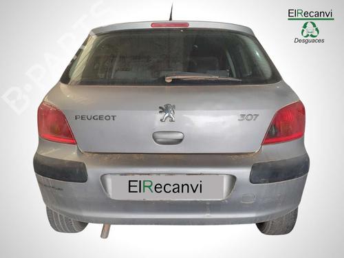 Fuel pump PEUGEOT 307 (3A/C) | BP10063106M76