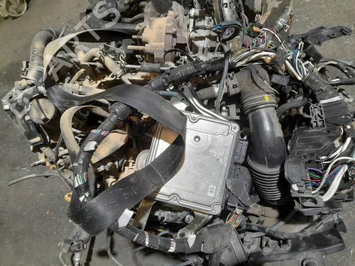 Used Engine Engine 38509404 38509404