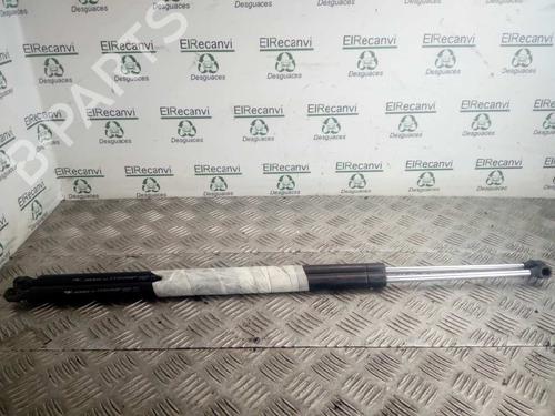 Used Tailgate lift support RENAULT ESPACE IV (JK0/1_) 1.9 dCi (JK0U, JK0G) (120 hp) 14355647