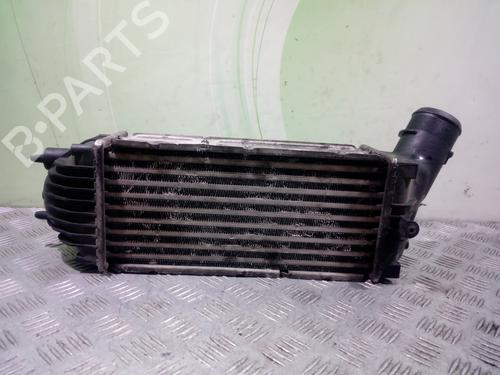 Intercooler CITROËN C4 Coupe (LA_) | BP10106617M30