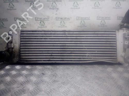 Used Intercooler RENAULT MEGANE II (BM0/1_, CM0/1_) 1.5 dCi (BM1F, CM1F) (86 hp) 4551886