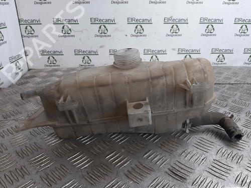 Ekpansionstank Ekpansionstank RENAULT CLIO III (BR0/1, CR0/1) 1.2 16V (BR02, BR0J, BR11, CR02, CR0J, CR11) (75 hp) 9584269 9584269