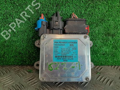 Used Electronic module CITROËN C3 I (FC_, FN_) 1.4 i Bivalent (73 hp) 24572368