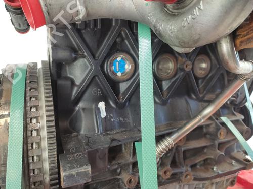 Engine RENAULT MEGANE II (BM0/1_, CM0/1_) 1.9 dCi (BM0G, CM0G) | BP29372675M1 