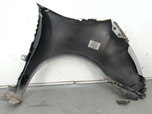 Left front fenders CITROËN C4 Picasso I MPV (UD_) 1.6 VTi 120 | BP26706233C41 