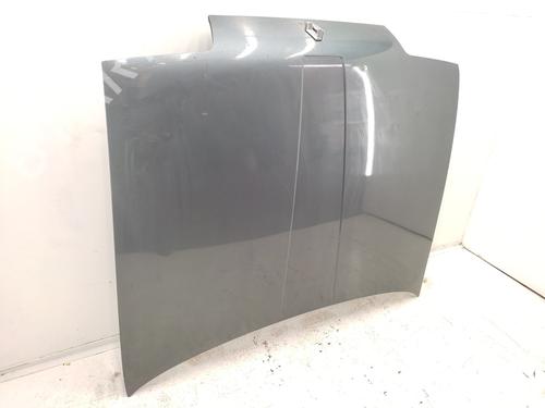Hood RENAULT 19 I (B/C53_)  | BP29353090C1 