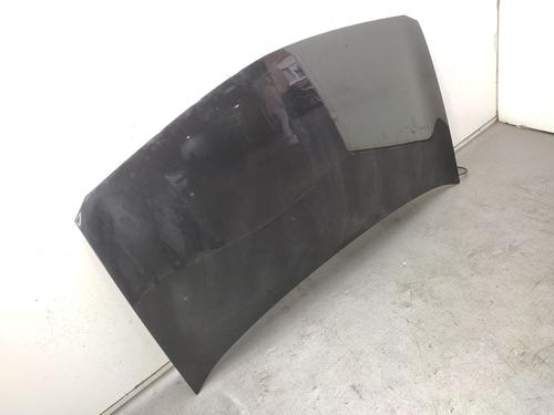 Hood RENAULT MEGANE II (BM0/1_, CM0/1_) 1.9 dCi (BM0G, CM0G) | BP29133089C1 