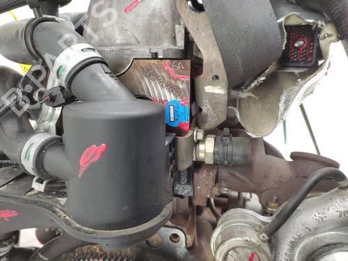 Engine FORD TRANSIT CONNECT (P65_, P70_, P80_) 1.8 Di | BP32162548M1  - Image 12