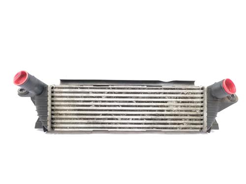 Used Intercooler RENAULT KANGOO Express (FC0/1_) 1.9 dCi 4x4 (FC0V) (84 hp) 28948823