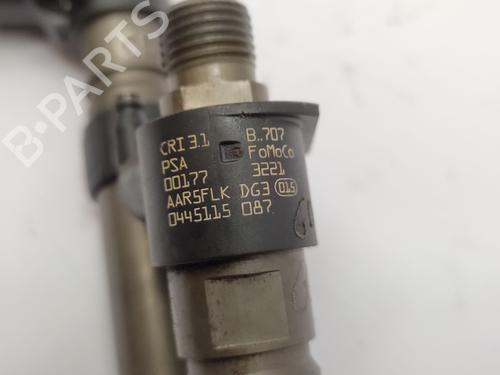 Injector CITROËN C5 III (RD_) 2.2 HDi 200 (RD4HLA) | BP29626139M100 
