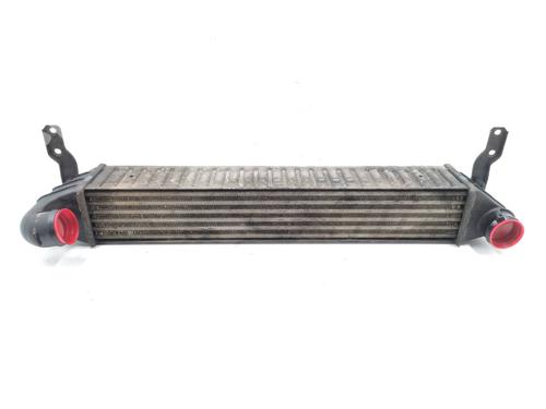 Intercooler FORD GALAXY I (WGR) [1995-2006]  21150288