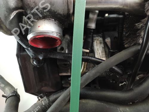 Engine FORD MONDEO III (B5Y)  | BP21156514M1 