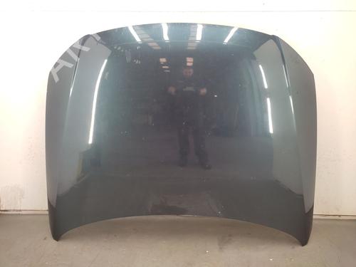 Used Hood Hood VW PASSAT B6 (3C2) 2.0 TDI 16V (140 hp) 36357889 36357889