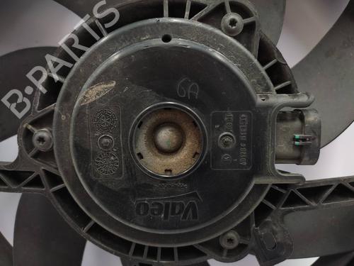 Radiator fan PEUGEOT 208 I (CA_, CC_)  | BP21161415M35 