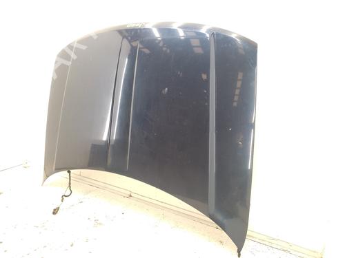 Hood JEEP GRAND CHEROKEE II (WJ, WG) 3.1 TD 4x4 | BP21150649C1 
